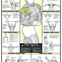 Gym Workout Chart Hd Images