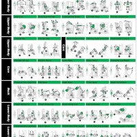 Gym Workout Routine Chart