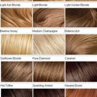 Hair Color Chart Black To Blonde