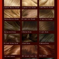 Hair Color Chart Loreal Professional