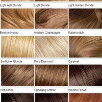 Hair Color Chart Shades Highlights