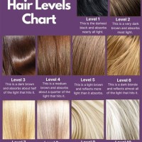 Hair Color Levels 1 10 Chart Red