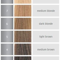 Hair Color Levels 1 10 Chart Wella