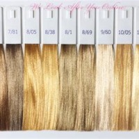 Hair Color Toner Chart