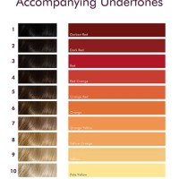 Hair Color Undertones Chart