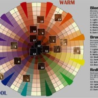 Hair Colour Chart Wheel