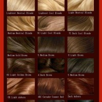 Hair Dye Colour Chart Loreal