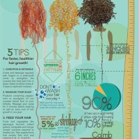 Hair Growth Chart For Natural