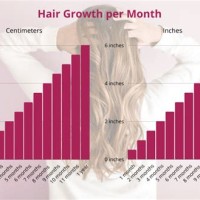 Hair Growth Time Chart Male