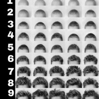 Hair Length Chart Male