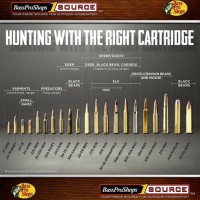 Handgun Caliber Velocity Chart