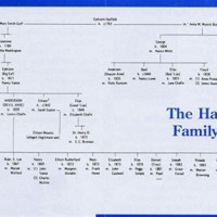 Hatfields Family Tree Chart