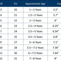 Hatley Raincoat Size Chart