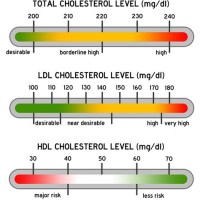 Hdl And Ldl Ratio Chart