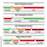 Hdl Cholesterol Levels Chart Mmol L