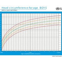 Head Cirference Growth Chart