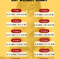 Healthy Cat Weight Chart Kg