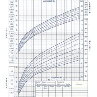 Healthy Weight Chart For Babies