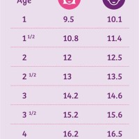 Healthy Weight Chart For Toddler