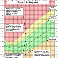 Healthy Weight Percentile Chart