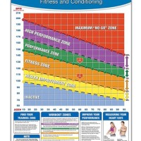 Heart Rate Chart For Child