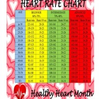 Heart Rate Chart For Toddler