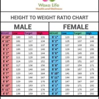 Height Vs Weight Chart Male In Kg