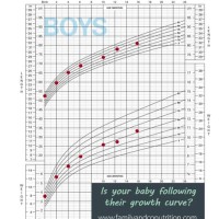 Height Weight Chart 20 Month Old