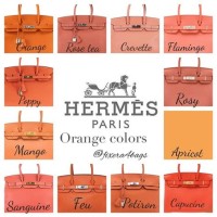 Hermes Birkin Color Chart 2018