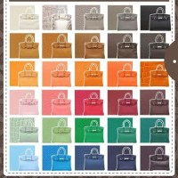 Hermes Birkin Colors Chart