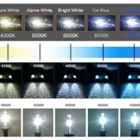 Hid Light Bulb Chart