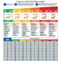 Hills Feline Body Fat Index Chart