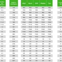 Hockey Skate Size Chart Youth