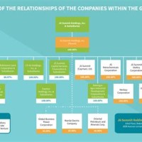 Holding Pany Anizational Chart