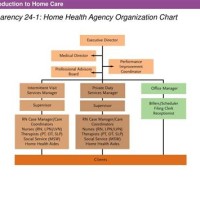 Home Health Agency Anizational Chart