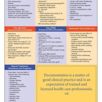 Home Health Charting For Nurses Ontario Canada