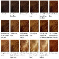 Honey Brown Hair Color Chart