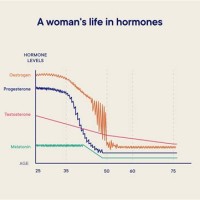 Hormone Levels During Perimenopause Chart