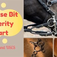 Horse Bit Severity Chart