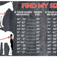 Horse Turnout Blanket Size Chart