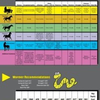 Horse Worming Rotation Chart Australia