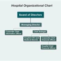 Hospital Purchasing Department Anizational Chart