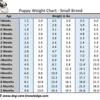 How Big Will My Puppy Be Chart