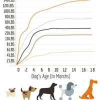 How Big Will My Puppy Growth Chart