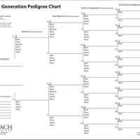 How Do I Fill Out An Ancestral Chart