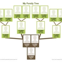 How Do I Make A Family Tree Chart In Word