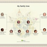 How Do You Set Up A Family Tree Chart