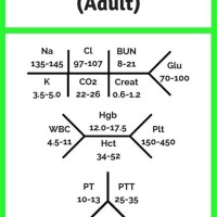 How Doctors Chart Lab Values