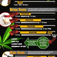 How Long Do Weed Stay In Your System Chart