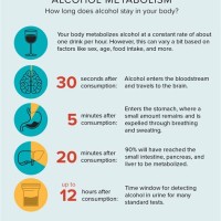 How Long Does Alcohol Stay In T Chart